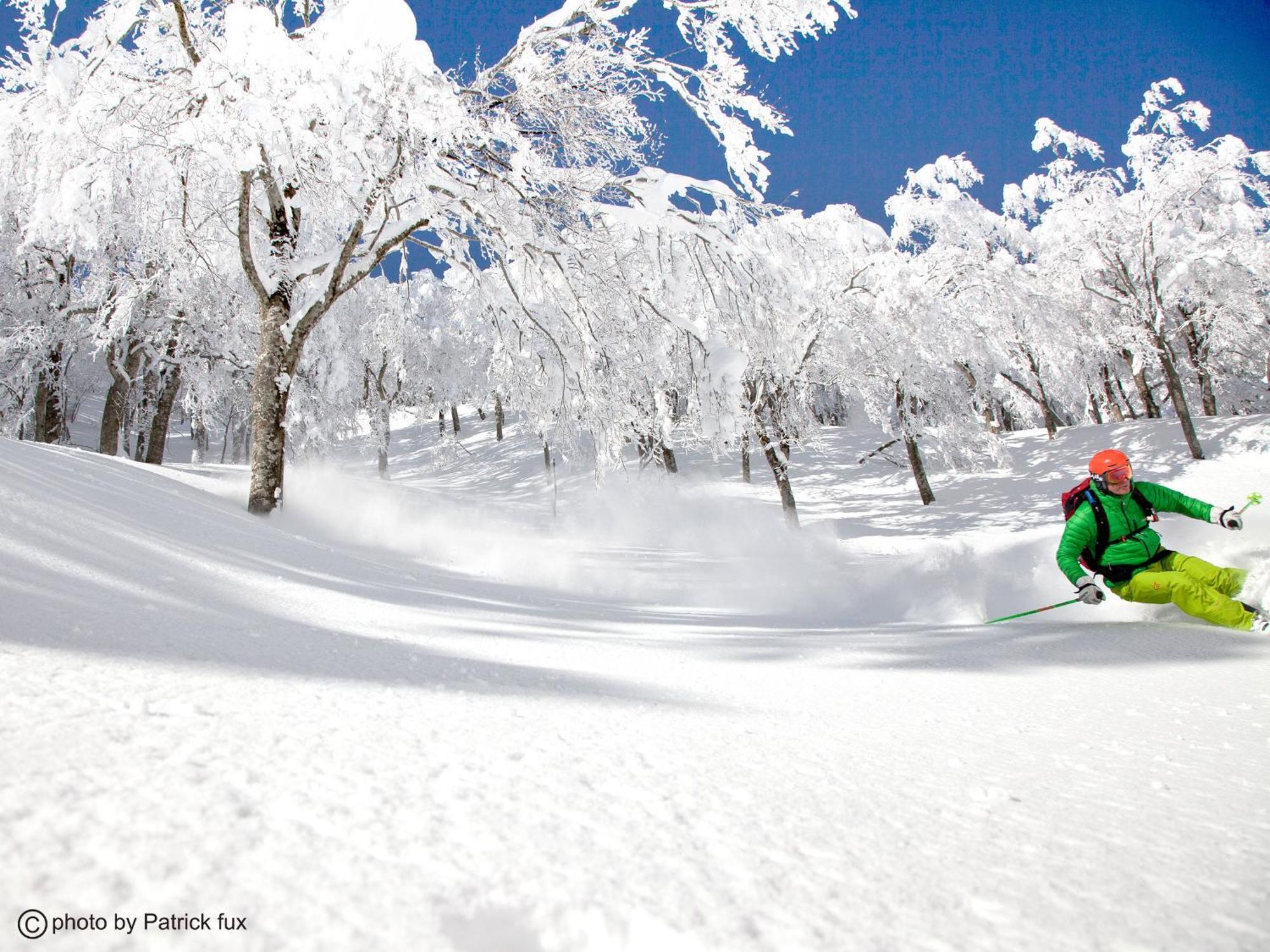 Hotel Green Plaza Hakuba 오타리 외부 사진