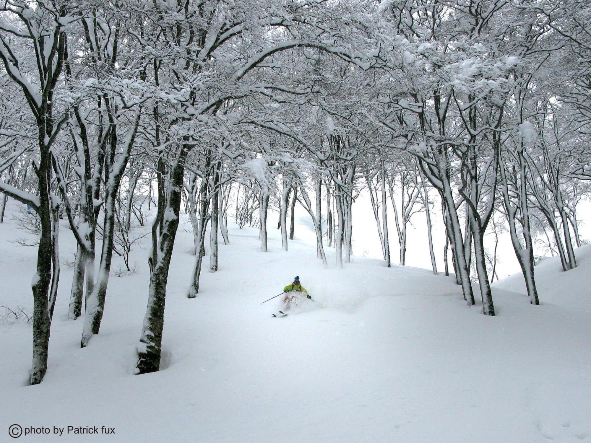 Hotel Green Plaza Hakuba 오타리 외부 사진