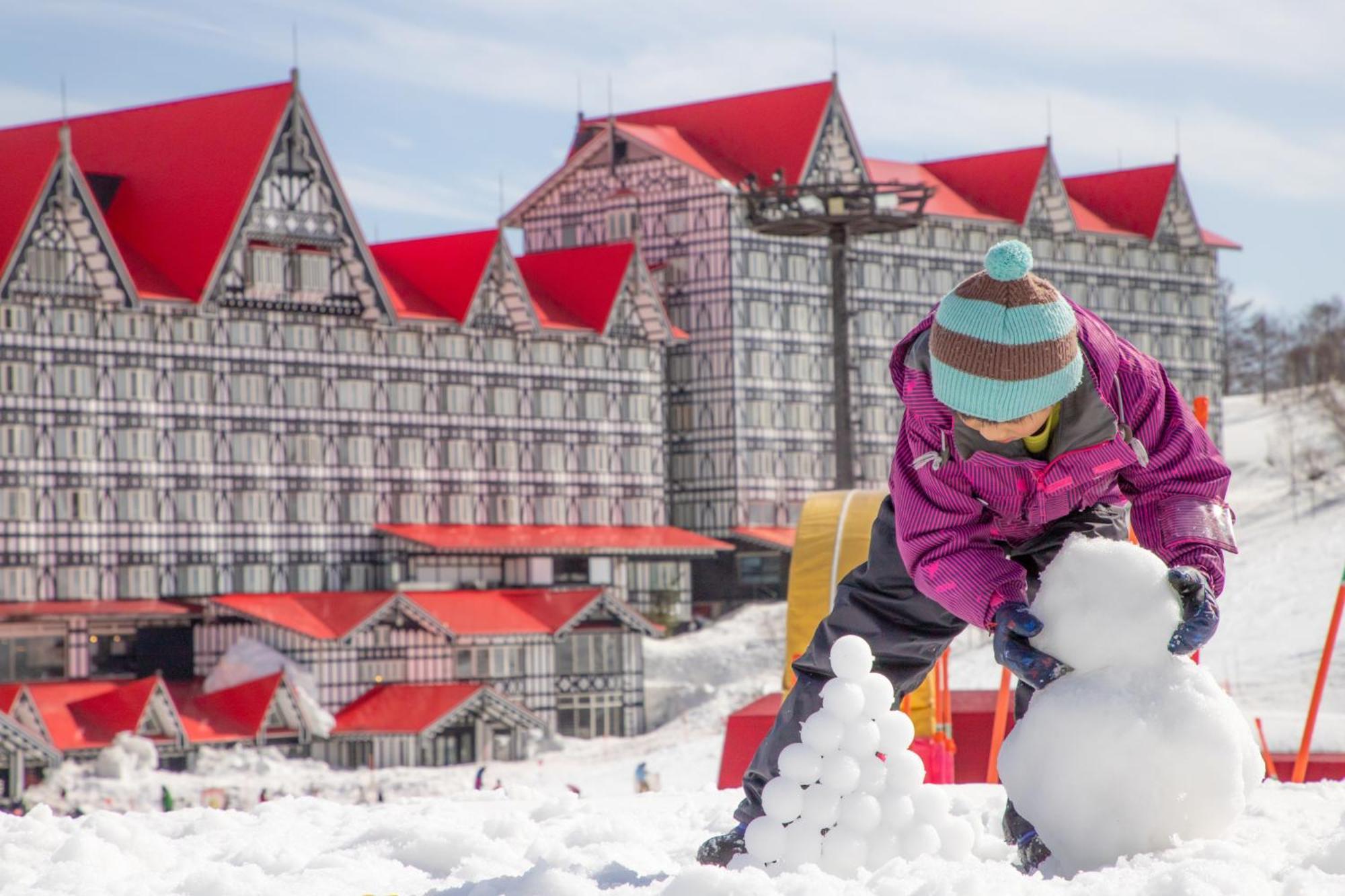 Hotel Green Plaza Hakuba 오타리 외부 사진